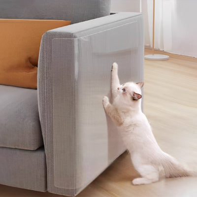 protection-canapé-chat-solide