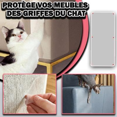 protection-canapé-chat-sur