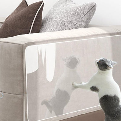 protection-canapé-chat-transparent