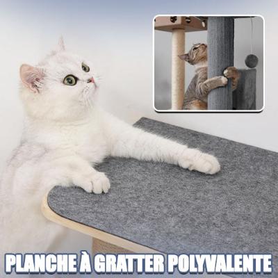 protection-canape-chat