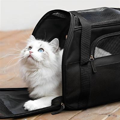 sac-transport-chat-beau