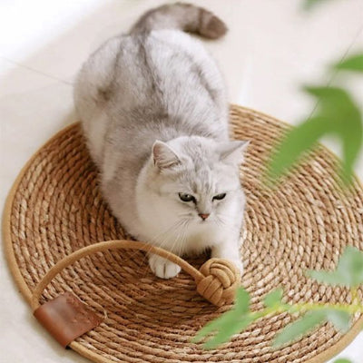 tapis-griffoir-chat-plus-balle