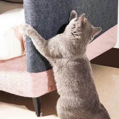 tapis-griffoir-chat-protège-canapé