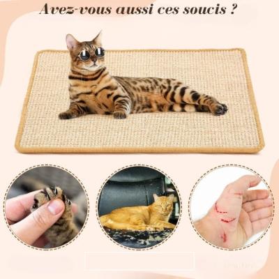 tapis-griffoir-chat-sisal