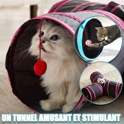 tunnel-_pour-chat-amusant