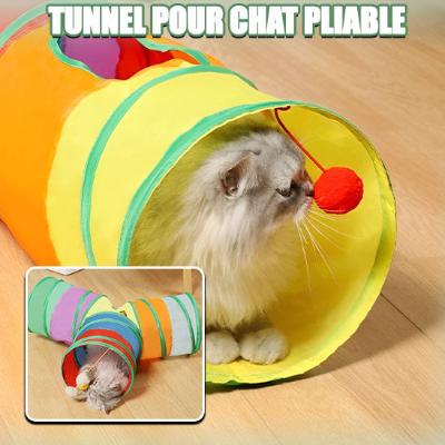 tunnel-pour-chat-joli